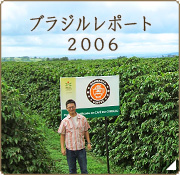 コーヒー豆産地訪問 ブラジルレポート2006