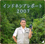 コーヒー豆産地訪問 インドネシアレポート2007