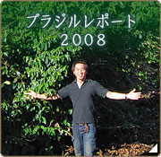 コーヒー豆産地訪問 ブラジルレポート2008