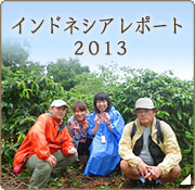 コーヒー豆産地訪問 インドネシアレポート2013