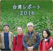 コーヒー豆産地訪問 台湾レポート2016